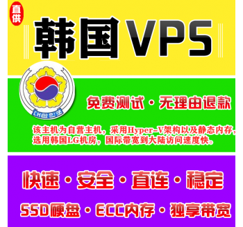 韩国VPS机房4096M国外，搜索引擎网页版